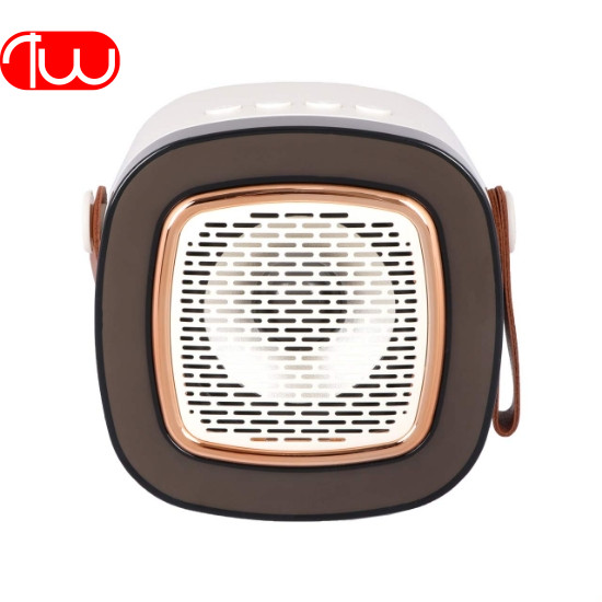 اسپیکر بلوتوث ترانیو مدل TRANYOO T-BS31